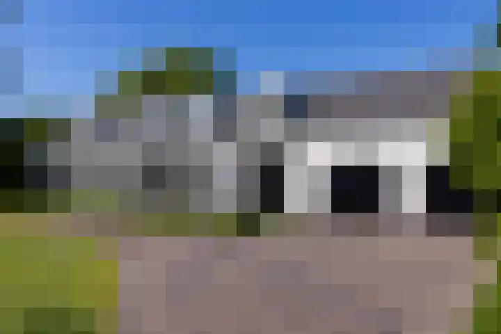 Grotestraat 60 Den Ham thumbnail 5