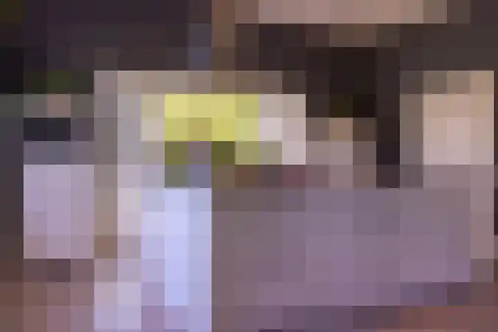 Grotestraat 60 Den Ham thumbnail 9