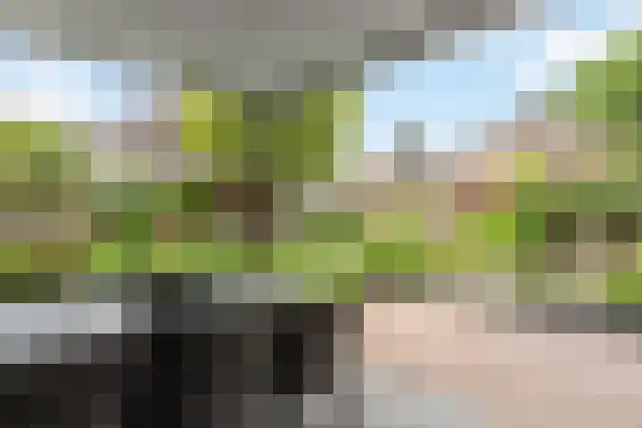 Grotestraat 65 Rossum thumbnail 19