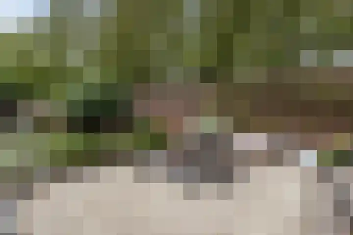 Grotestraat 75 Sambeek thumbnail 34