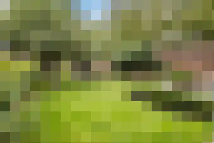 Grotestraat 75 Sambeek thumbnail 37