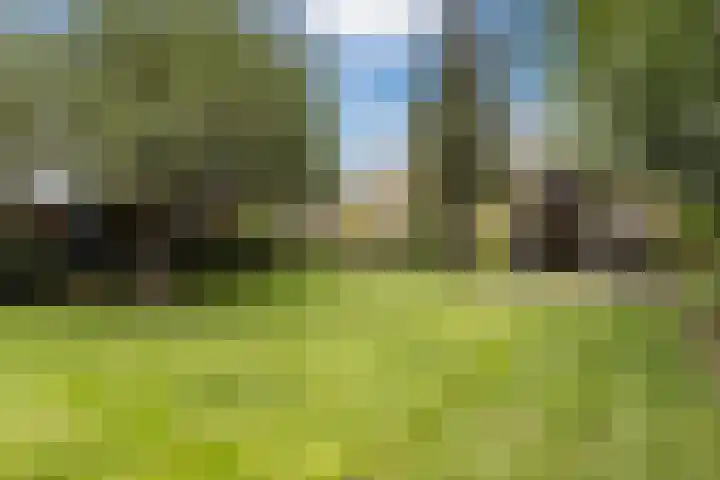 Grotestraat 75 Sambeek thumbnail 38