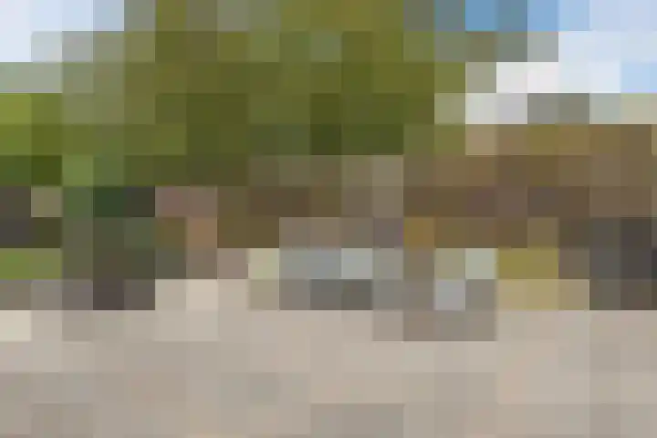 Grotestraat 75 Sambeek thumbnail 5