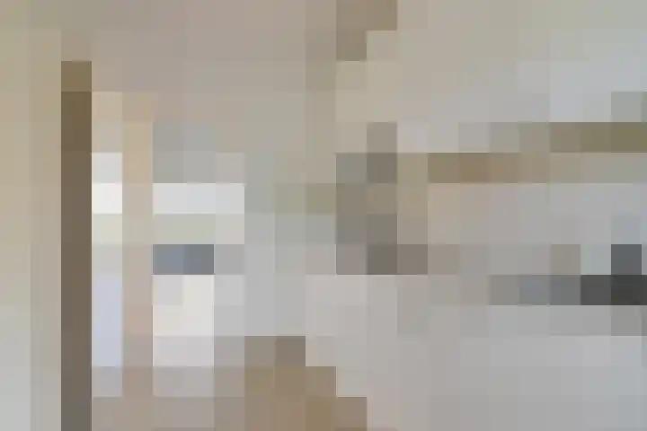 Grovestins 27 Stiens thumbnail 15