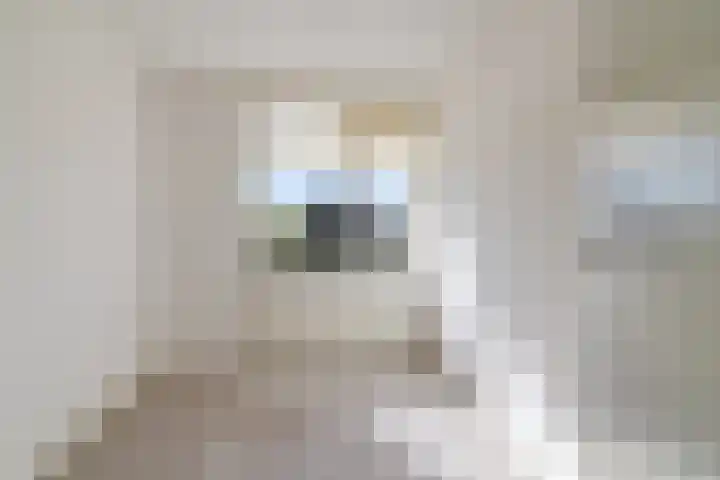 Grovestins 27 Stiens thumbnail 18