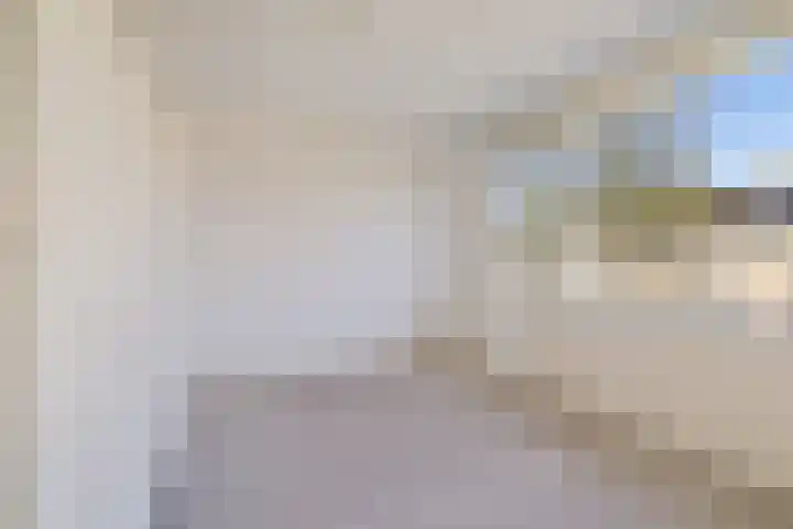 Grovestins 27 Stiens thumbnail 22
