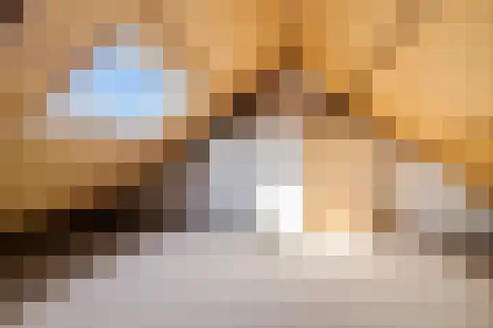 Grovestins 27 Stiens thumbnail 25