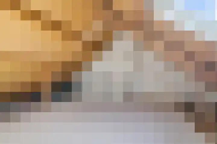 Grovestins 27 Stiens thumbnail 26