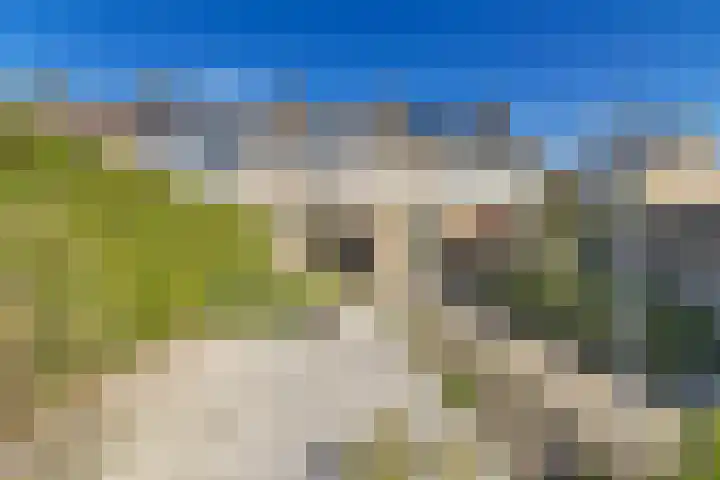 Grovestins 27 Stiens thumbnail 28