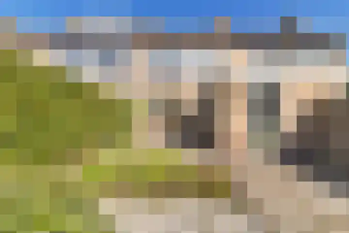 Grovestins 27 Stiens thumbnail 29