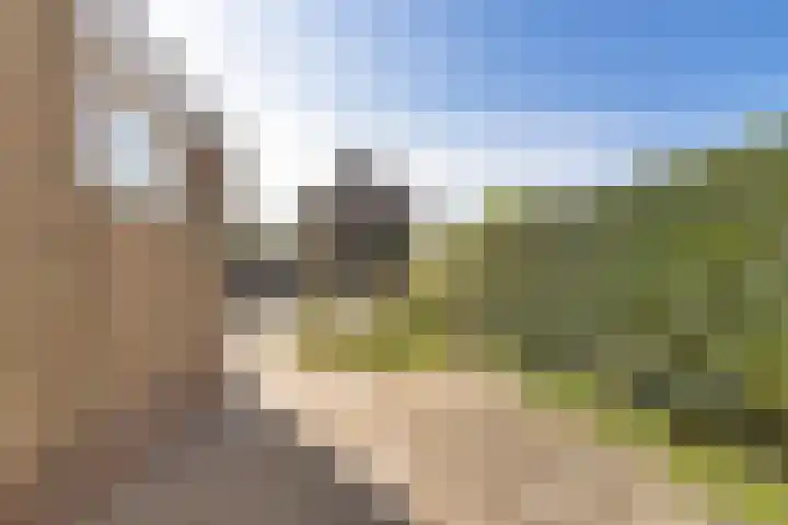 Grovestins 27 Stiens thumbnail 31