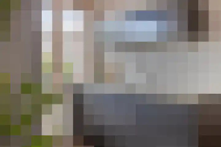 Grubbenvorststraat 39 Tilburg thumbnail 10