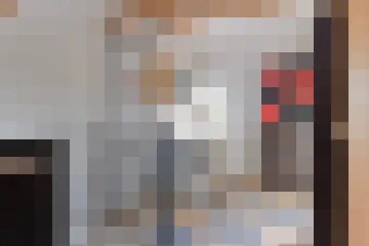 Grubbenvorststraat 39 Tilburg thumbnail 23