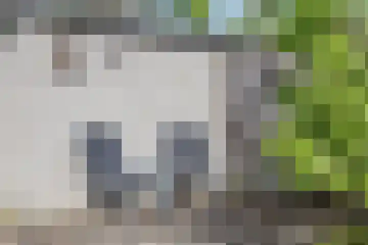Grubbenvorststraat 39 Tilburg thumbnail 31