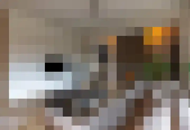 Gruit 34 Bemmel thumbnail 15