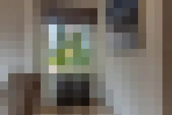 Gruit 34 Bemmel thumbnail 16