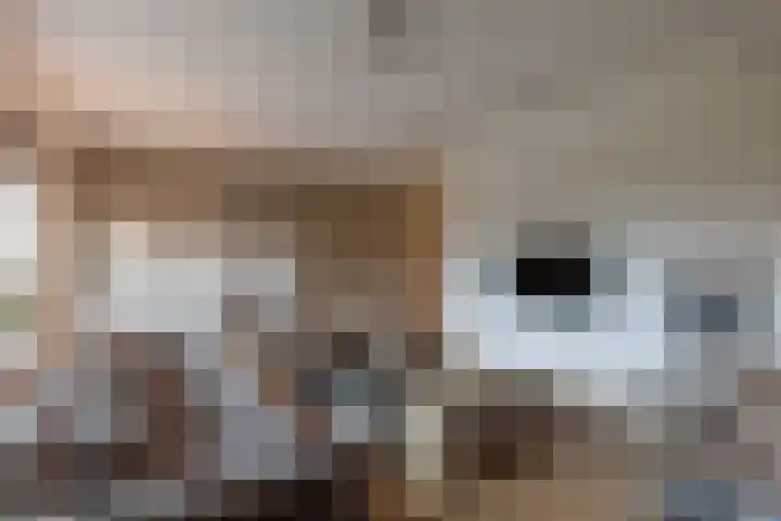 Gruit 34 Bemmel thumbnail 17
