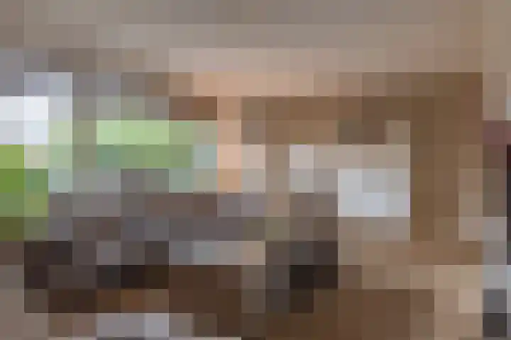 Gruit 34 Bemmel thumbnail 18