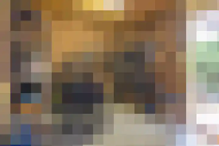 Gruit 34 Bemmel thumbnail 46
