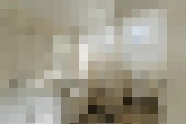 Gruitkamp 14 Ermelo thumbnail 19