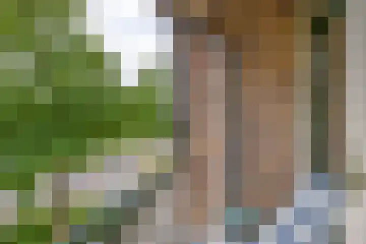 Gruitkamp 14 Ermelo thumbnail 7