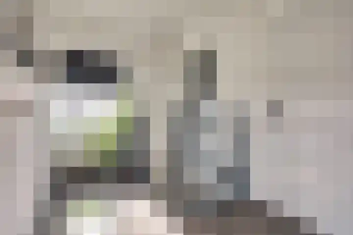 Logo Gruno Vastgoed B.V.