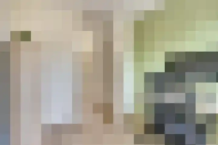 Grutterij 4 Alkmaar thumbnail 14