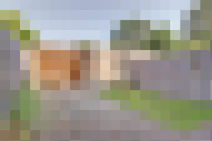 Grutterij 4 Alkmaar thumbnail 22