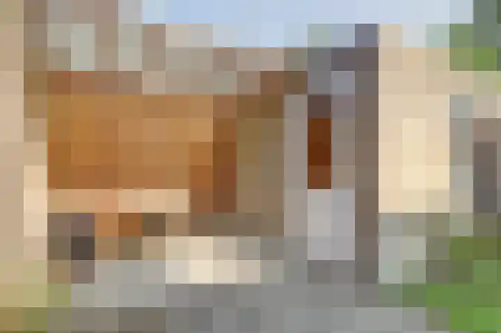 Grutterij 4 Alkmaar thumbnail 23