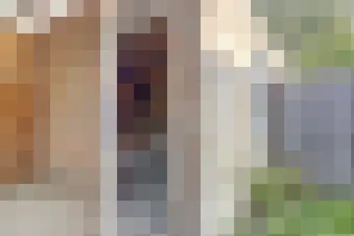 Grutterij 4 Alkmaar thumbnail 24