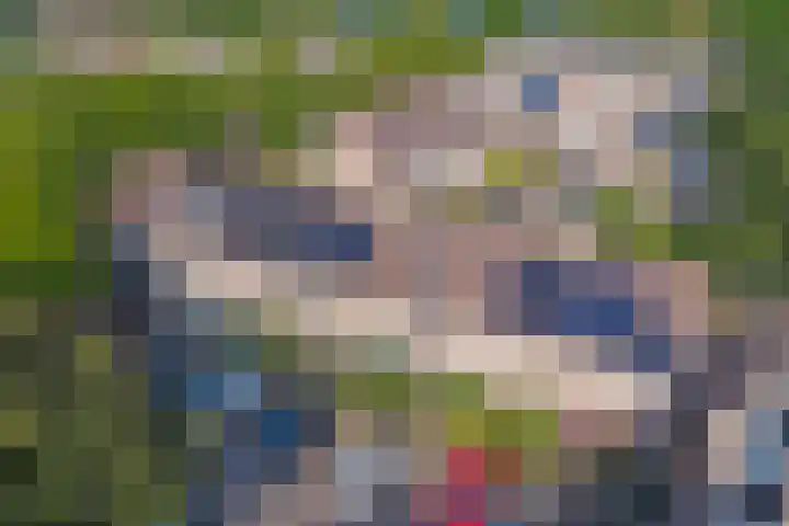 Grutterij 4 Alkmaar thumbnail 28