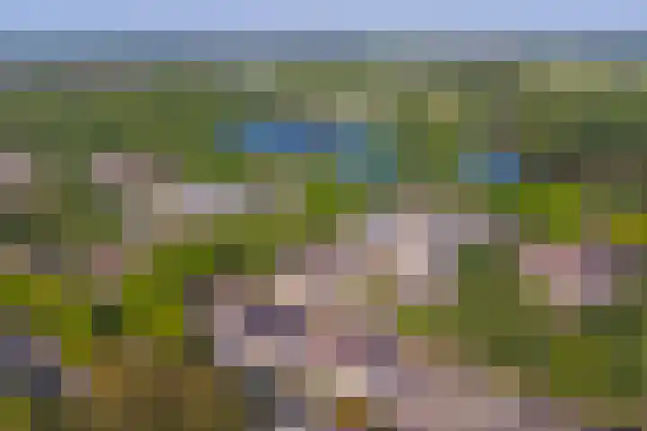 Grutterij 4 Alkmaar thumbnail 30