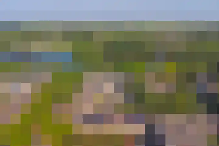 Grutterij 4 Alkmaar thumbnail 31