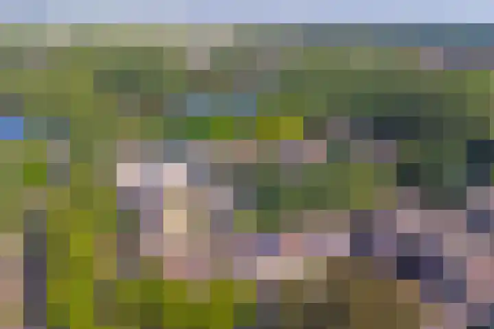 Grutterij 4 Alkmaar thumbnail 32