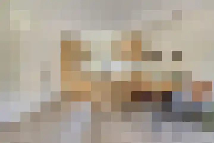 Grutterij 4 Alkmaar thumbnail 4