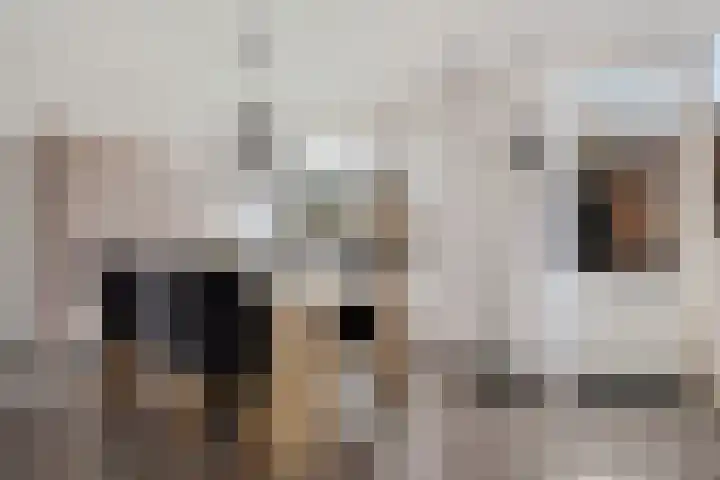 Grutterijstraat 43 's Gravenmoer thumbnail 17