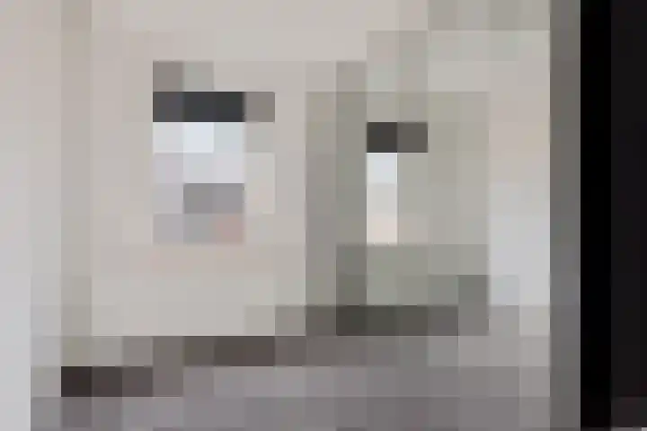 Grutterijstraat 43 's Gravenmoer thumbnail 20