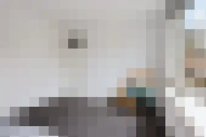 Grutterijstraat 43 's Gravenmoer thumbnail 27