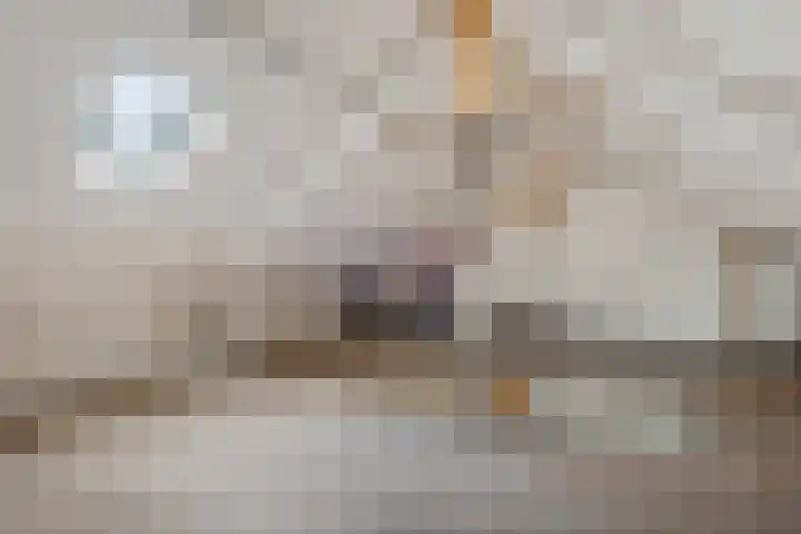 Grutterijstraat 43 's Gravenmoer thumbnail 31