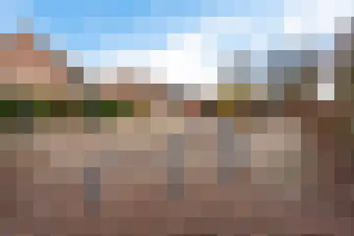 Grutterijstraat 43 's Gravenmoer thumbnail 4
