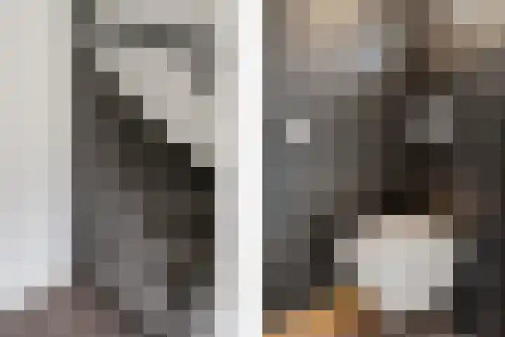 Grutterijstraat 43 's Gravenmoer thumbnail 7