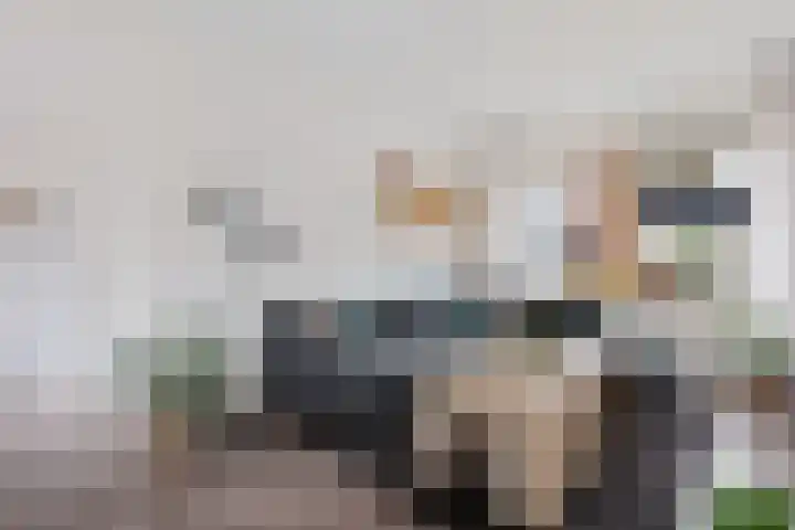 Grutterijstraat 43 's Gravenmoer thumbnail 9