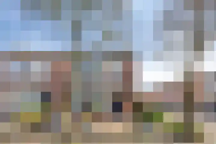 Grutterijstraat 85 's Gravenmoer