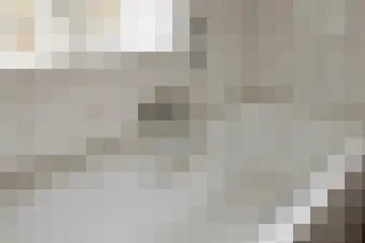 Grutterijstraat 93 's Gravenmoer thumbnail 28