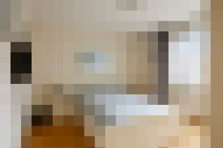 Grutterijstraat 93 's Gravenmoer thumbnail 4