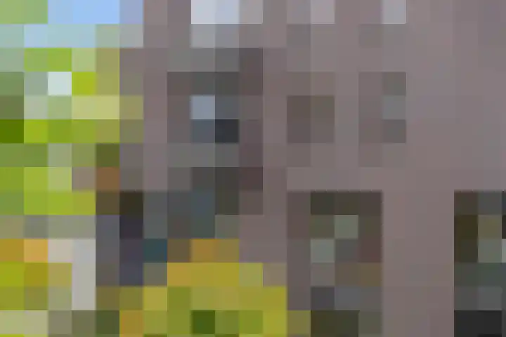Gruttersdijk 25 G Utrecht thumbnail 5