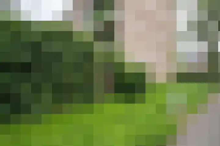 Gruttershof 1 Gorinchem thumbnail 18