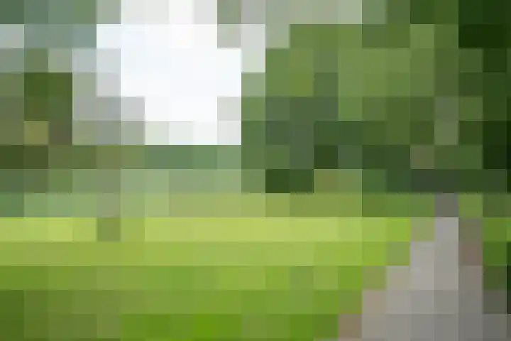 Gruttershof 1 Gorinchem thumbnail 19