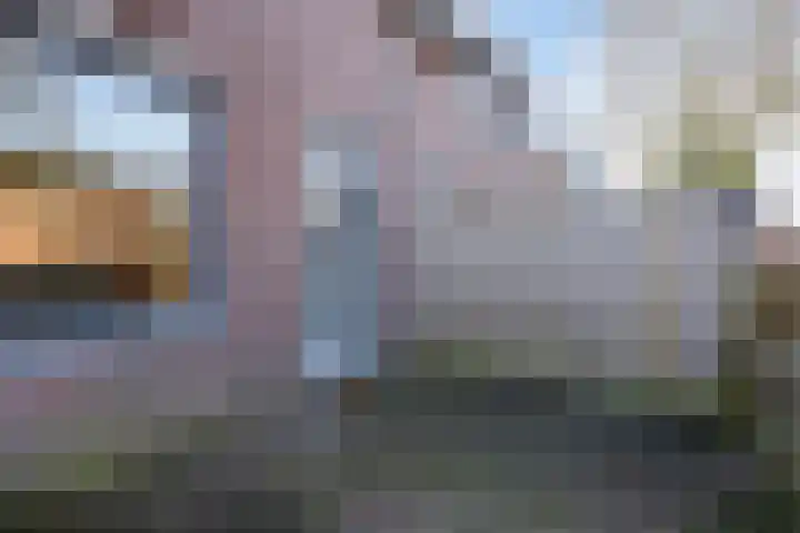 Gruttersveld 7 001 Wehl thumbnail 14