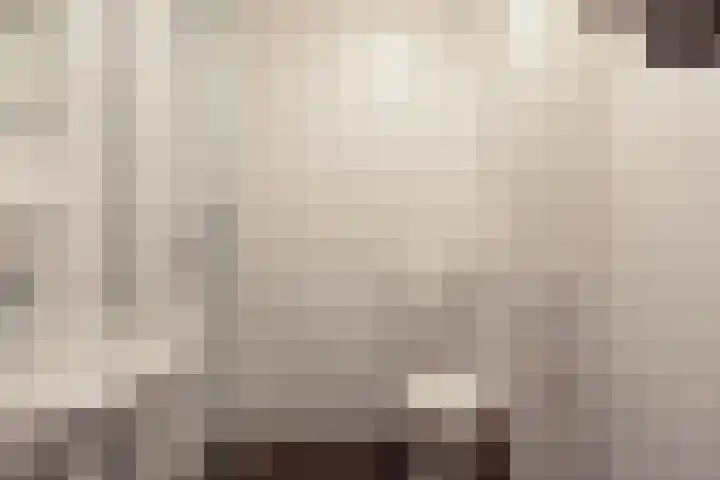 Gruttersveld 7 276 Wehl thumbnail 15